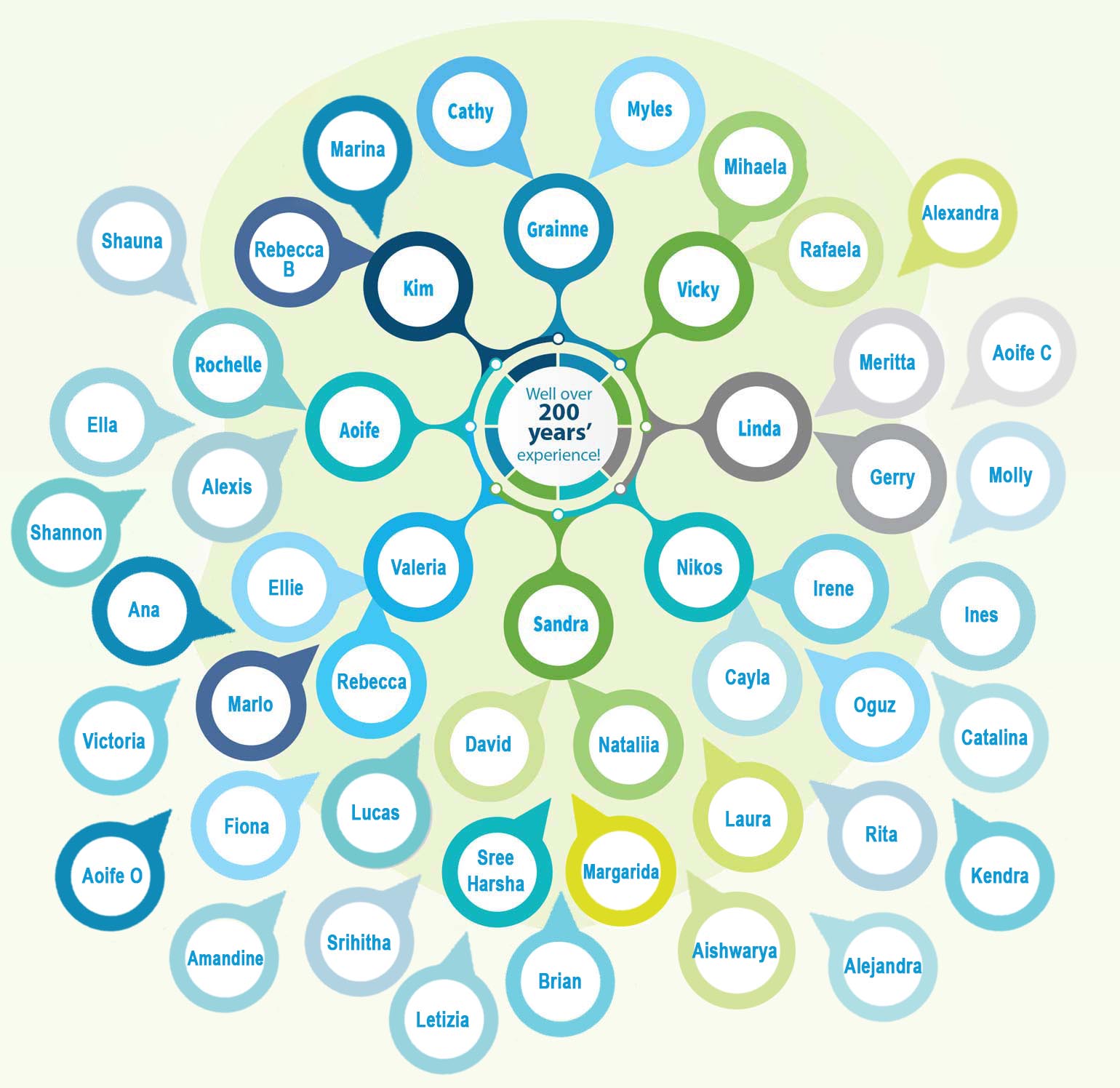 Our Team members graph